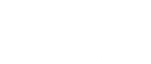 Wine Trade International 13 logo white horizontal site