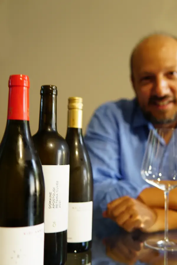 A Visit to Ktima Apostolidi: Biodynamics, Bold Wines, and a Future for Greek Terroir 2 03 Cover Apostolidis blog article