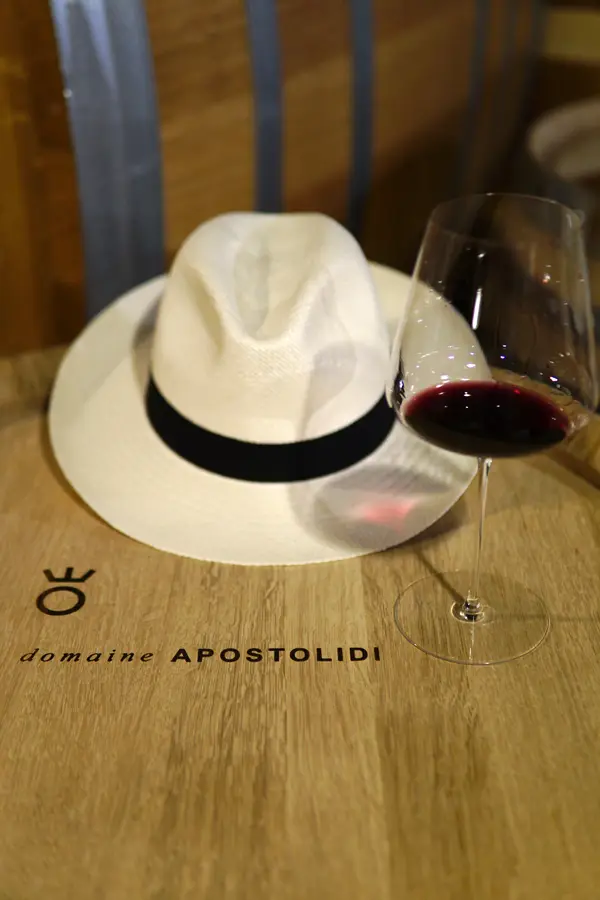 A Visit to Ktima Apostolidi: Biodynamics, Bold Wines, and a Future for Greek Terroir 9 10 Cover Apostolidis blog article