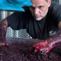 Mouhtaro: the grape Greece almost lost. Samartzis brought it back.