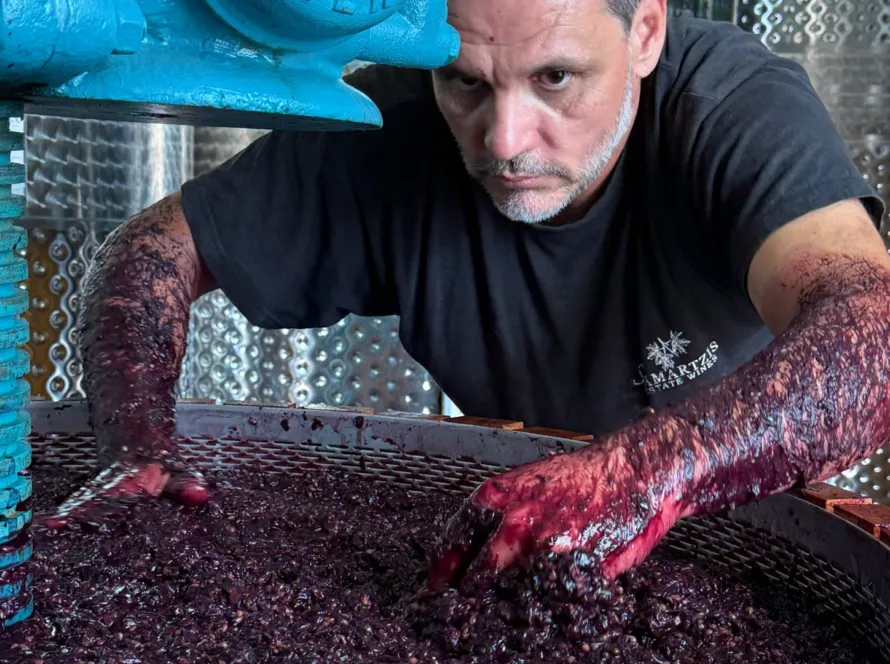 wine trade international samartis 01