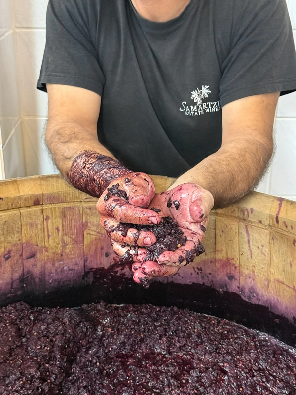 wine trade international samartis 02