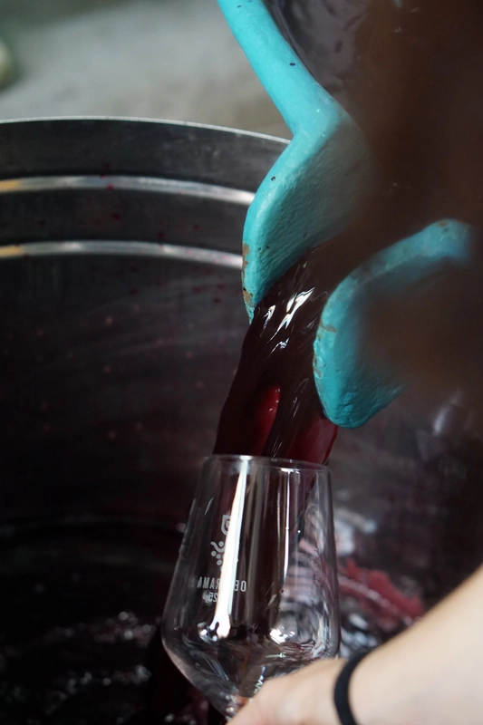 wine trade international samartis 03