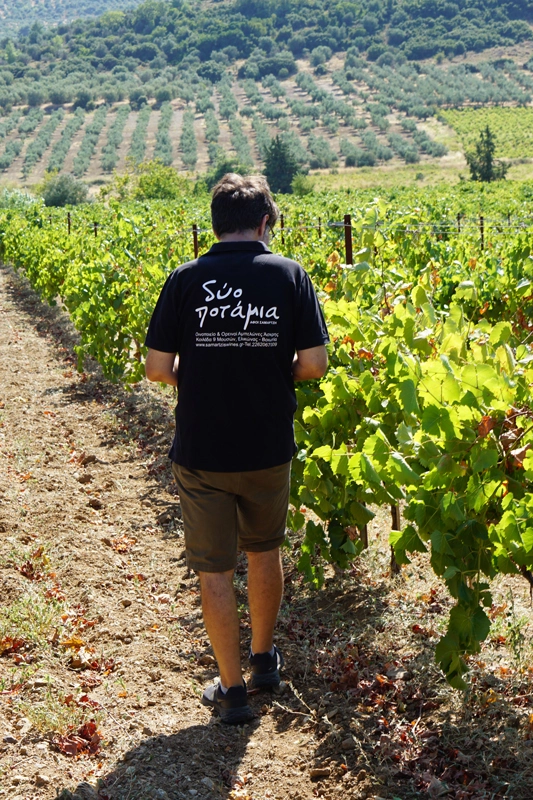 wine trade international samartis 04