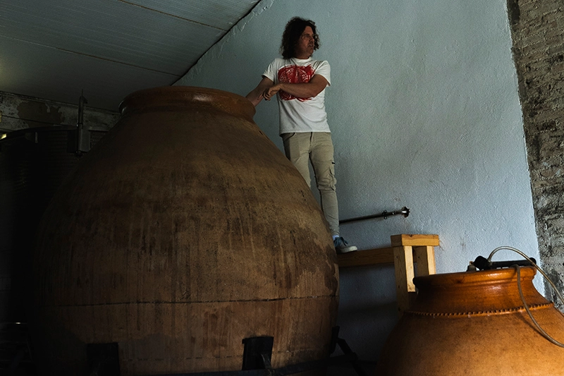 Celler 04