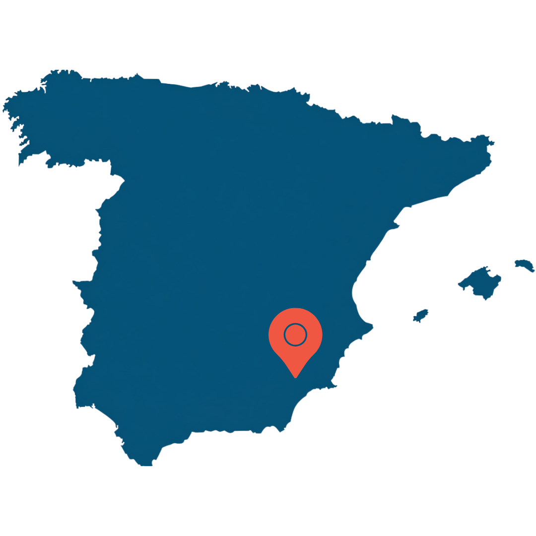 Wine Trade Interanational 1